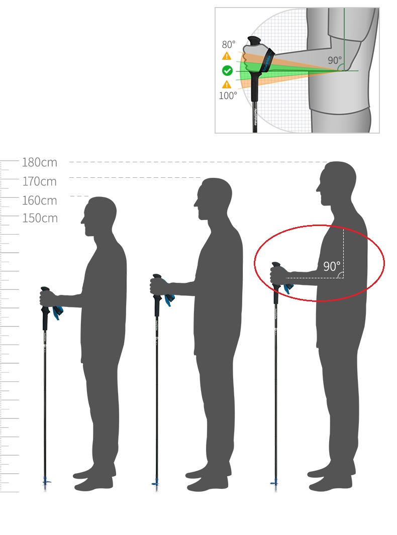 PIONEER Carbon Fiber Trekking  – Trekking Pole Carbon Bewertung und Preis