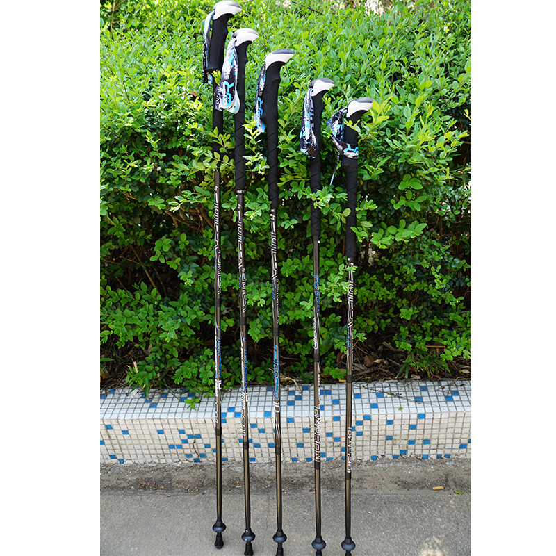 PIONEER Carbon Fiber Trekking  – Trekking Pole Carbon Bewertung und Preis